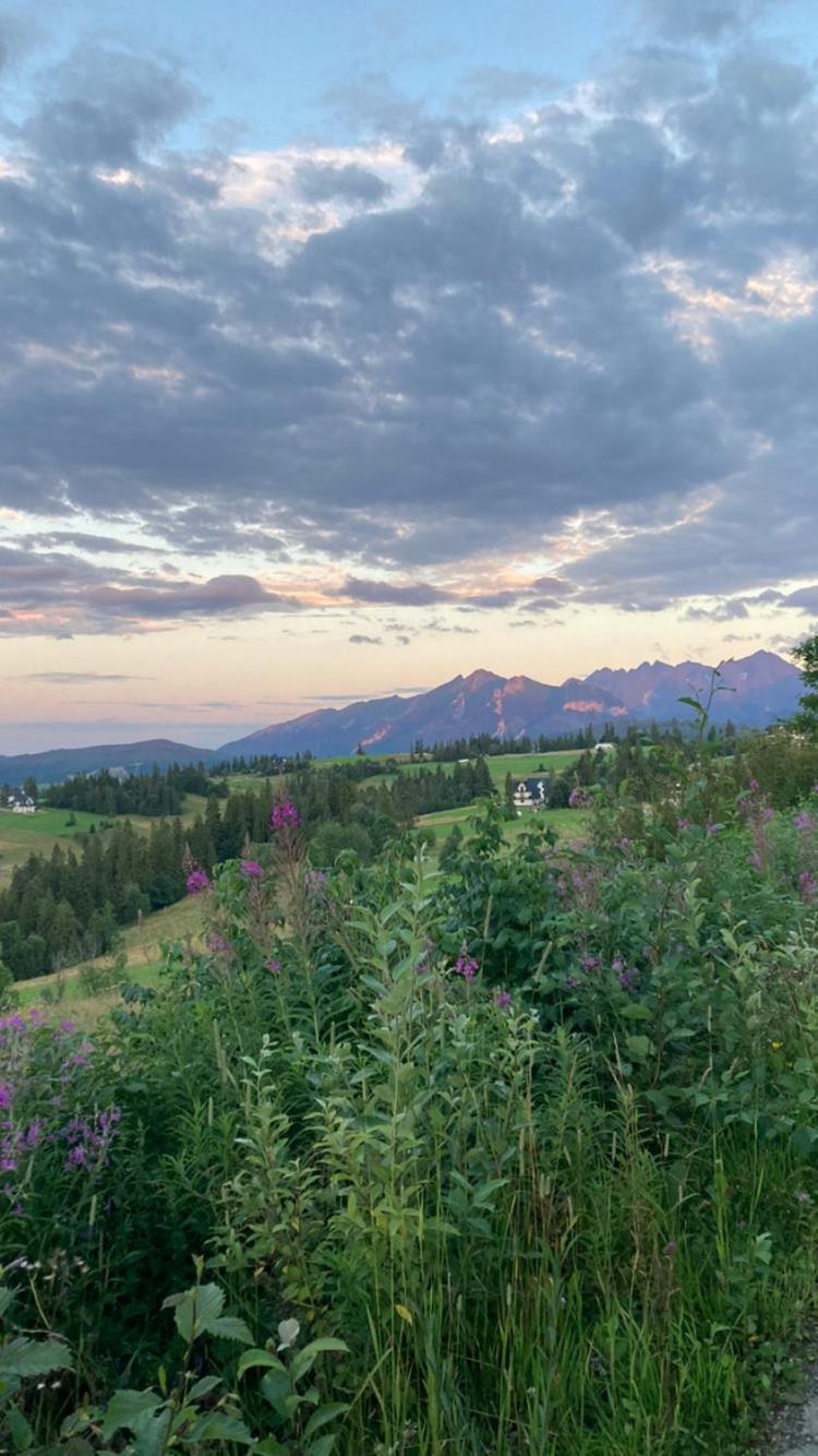 Przy Lesie Villa Bukowina Tatrzańska Dış mekan fotoğraf